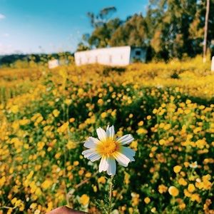 Meet your Posher, Anita